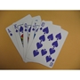 Bicycle PURPLE TRACE Deck - 